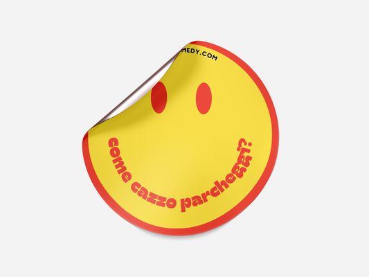 Come cazzo parcheggi - Sticker